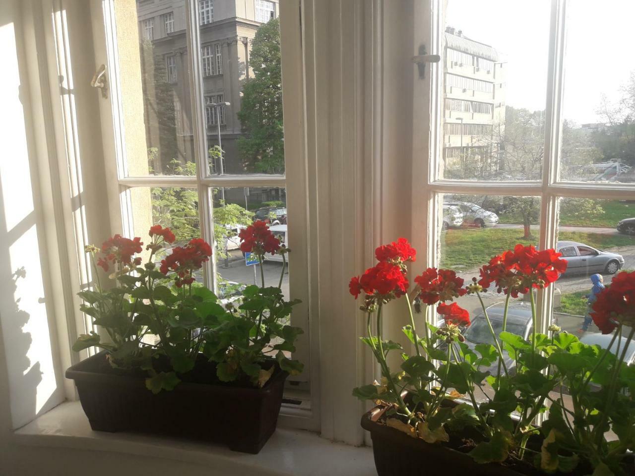 Apartment Lea Lux Belgrad Exterior foto